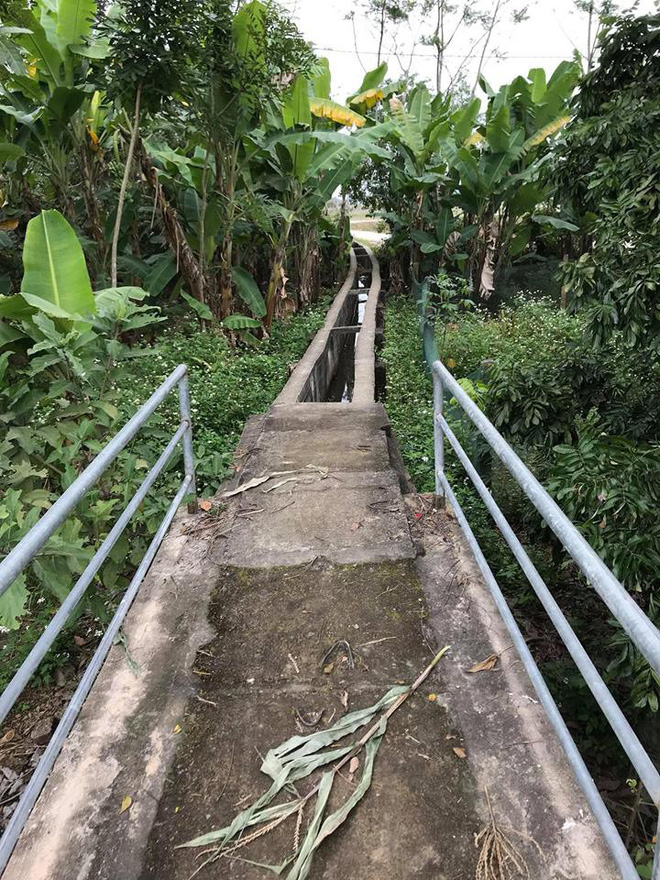 Tin tưởng vào Google Maps, người đàn ông suýt rơi xuống mương trong ngày đầu năm-5