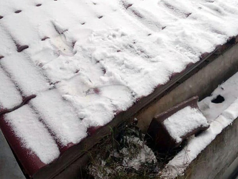 Người mẹ 54 tuổi đau đớn nhìn 3 con bị bệnh hiểm nghèo không có tiền chữa trị-8