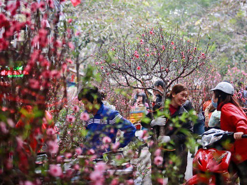 Dự báo thời tiết 6.1: Miền Bắc trời chuyển rét sau đợt rét đậm kỷ lục-2