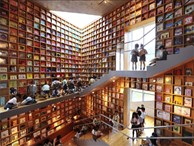 Tin được không, toà thư viện độc đáo lọt top 25 xịn nhất thế giới này thực chất là thư viện cho trường mầm non