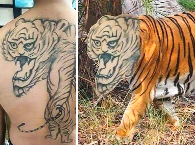 Lên mạng nhờ chỉnh ảnh... và cái kết tê tái-1