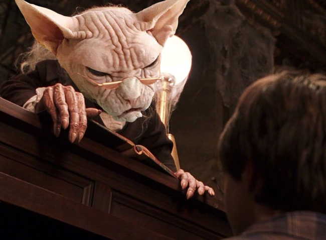 Lên mạng nhờ chỉnh ảnh... và cái kết tê tái-11