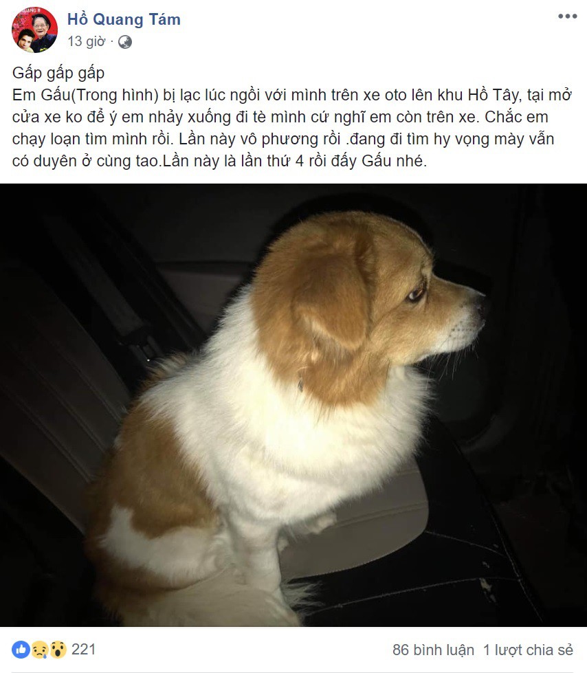 Đứng giữa trời giá rét nhiều giờ để tìm chủ cho chó lạc, cô gái trẻ khiến cả cầu thủ U23 mến mộ-4