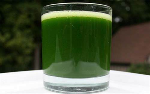 Đầu tuần 50kg, cuối tuần 45kg nhờ ăn rau ngót theo cách này-7