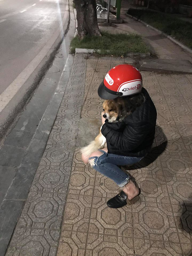 Đứng chờ hàng tiếng đồng hồ tìm chủ chó lạc ở Hồ Tây, cô gái xinh đẹp bị tố làm màu-1