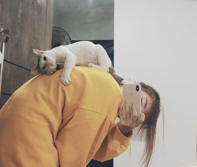 Đứng chờ hàng tiếng đồng hồ tìm chủ chó lạc ở Hồ Tây, cô gái xinh đẹp bị tố làm màu-11