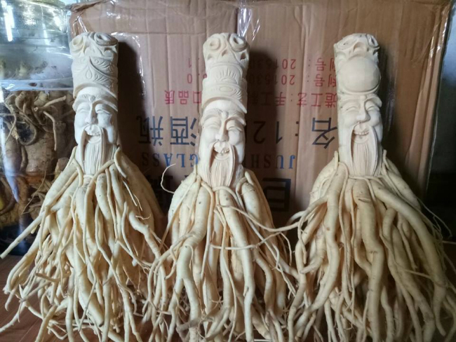 Lấy nhân sâm của người nghèo khắc tượng, ngâm rượu rồi bán giá cả chục triệu đồng-14
