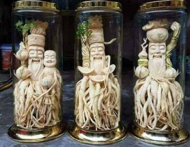 Lấy nhân sâm của người nghèo khắc tượng, ngâm rượu rồi bán giá cả chục triệu đồng-20