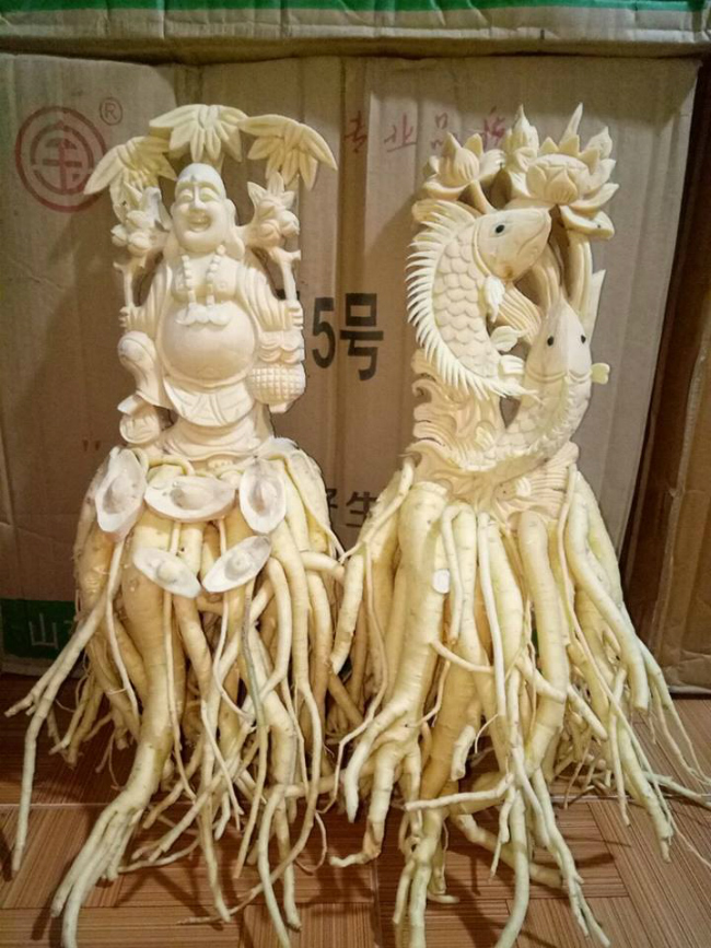 Lấy nhân sâm của người nghèo khắc tượng, ngâm rượu rồi bán giá cả chục triệu đồng-6