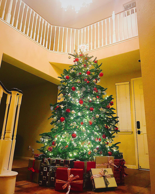 Chỉ một vài hình ảnh hiếm hoi được tiết lộ cũng đủ làm dân mạng choáng váng về căn biệt thự Phạm Hương đang sống tại Mỹ-3