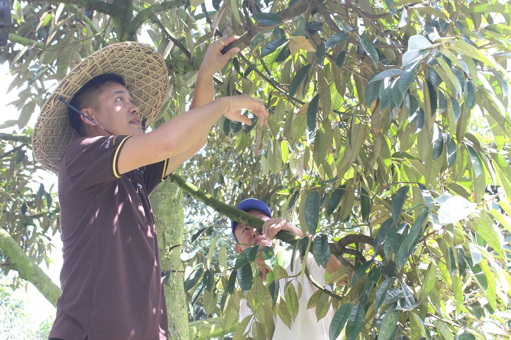 Sầu riêng 200.000 đồng/kg hoặc buffet 299.000 đồng/ người ở Sài Gòn-4