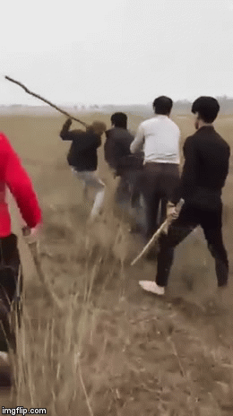 Tên trộm chó bị nhóm người quây đánh giữa đồng, hình ảnh cuối khiến dân mạng tranh cãi dữ đội-1