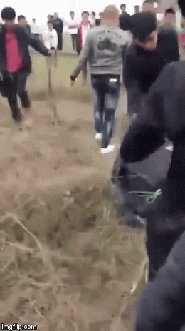 Tên trộm chó bị nhóm người quây đánh giữa đồng, hình ảnh cuối khiến dân mạng tranh cãi dữ đội-2