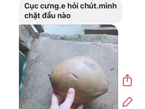 Không biết bổ dừa cũng nhắn tin hỏi chồng, nhưng chi tiết khiến chị em cười sái hàm là ảnh chụp của cô vợ