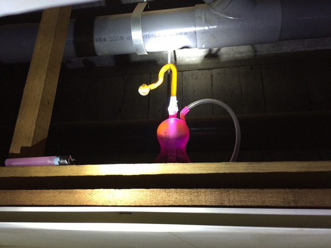 Bị tóm vì sử dụng ma tuý ở Đài Loan, thanh niên Việt đưa cảnh sát về nhà bắt thêm 3 bạn đang trốn dưới gầm giường-3