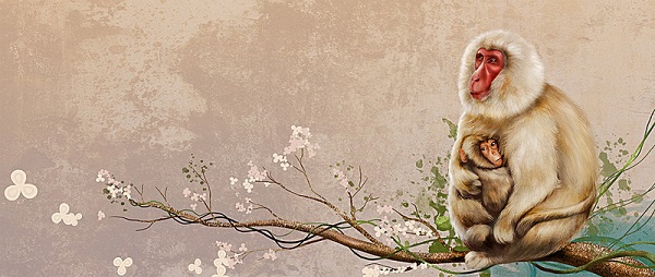 Những con giáp song hỷ lâm môn ngay trong tháng đầu tiên của năm mới-3