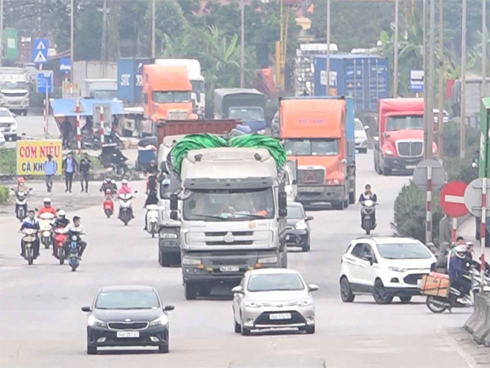 Hà Nội khai tử hàng cây đẹp nhất ven sông Tô Lịch-18