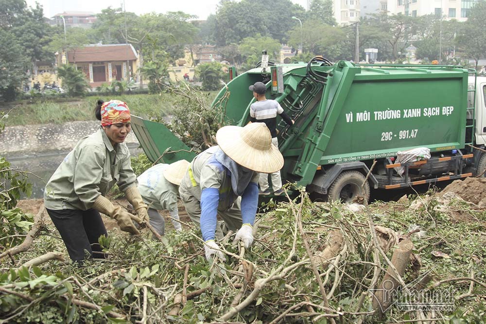 Hà Nội khai tử hàng cây đẹp nhất ven sông Tô Lịch-13