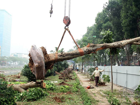 Chuyên gia Nhật giữa trưa lội nước, sông Tô Lịch chờ đón điều bất ngờ-15