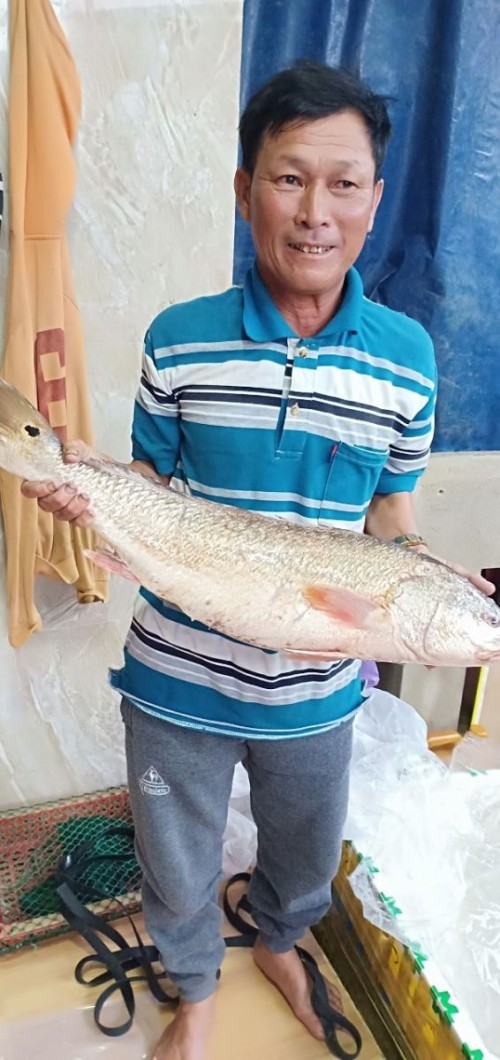 Cá lạ nặng 5kg ở Quảng Ngãi, trả 150 triệu chưa bán-1