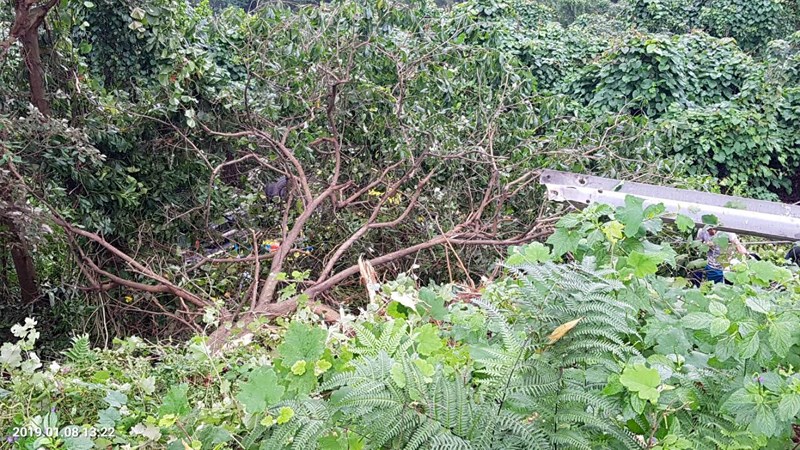 Xe khách rơi trên đèo Hải Vân, 23 người bị nạn-4