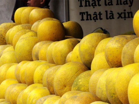 Thực hư loại bưởi Diễn 5.000 đồng/quả bày bán tràn lan trên thị trường-3