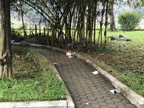 Phát hiện thi thể một phụ nữ không mặc quần trong vườn hoa ở Hà Nội