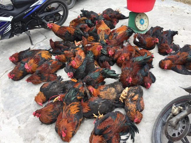 Chàng trai khoe đám cưới ở quê vui hơn ở phố, dân mạng nôn nao hỏi: Đã bao lâu chưa về ăn cơm quê?-6