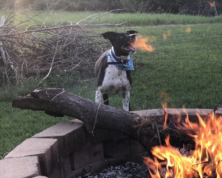 Những khoảnh khắc chớp mắt thành siêu phẩm-12