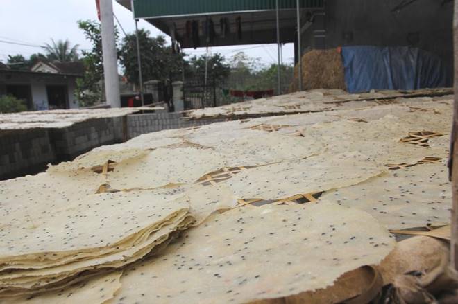 Đầu năm trồng sắn, cuối năm làm bánh đa, mỗi nhà thu nhập hàng chục triệu dịp Tết-5