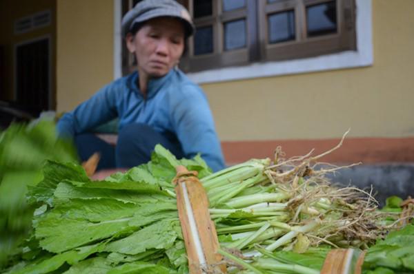 Lạ đời: Lên núi vạch đá, trồng rau cải, thu tiền kìn kìn mỗi ngày-10