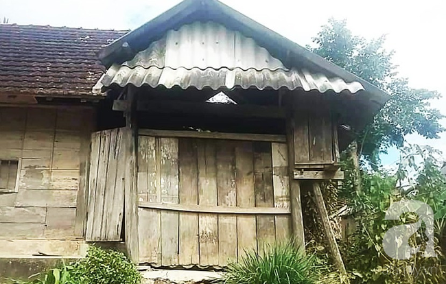 Theo con vào Bình Dương làm mướn, người phụ nữ bị máy kéo sợi bún lóc nát da đầu, cán thủng mắt thương tâm-7