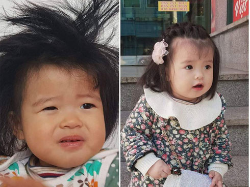 Clip bầy chó đuổi theo xe cứu thương chở ông chủ vô gia cư” khiến dân mạng cảm động-3