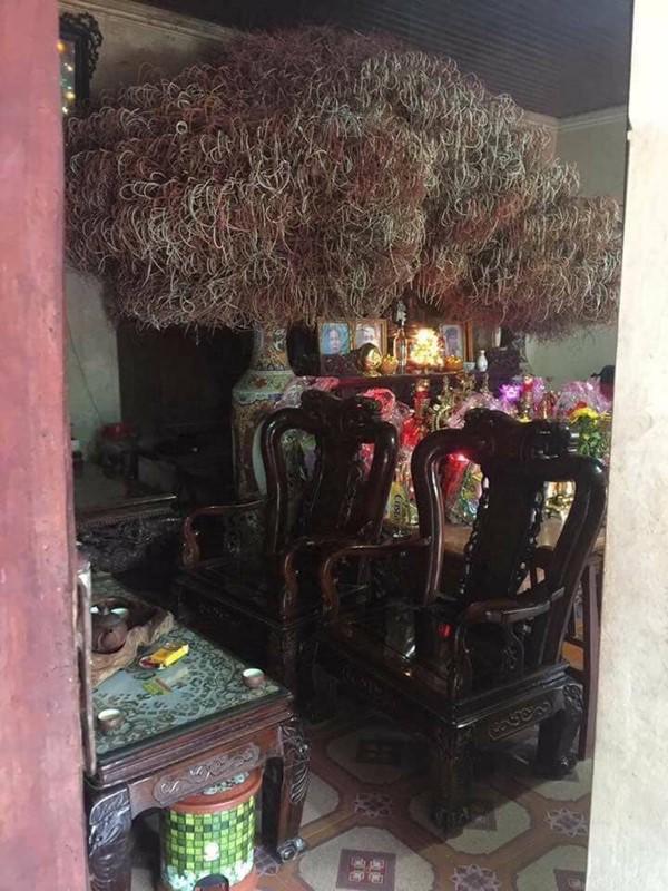 Rút tỉa chân hương ngày giáp Tết: Có phải bát hương càng đầy, gia chủ càng lắm tài nhiều lộc?-2