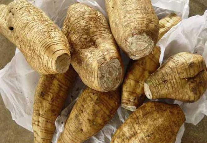 Loại củ dân dã ở chợ Việt được ví là lương dược: Giải độc gan, giải rượu, giảm đường máu-4