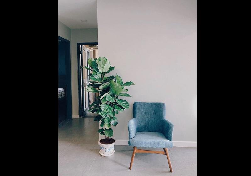 Không chấp nhận ở nhà chờ chồng bao nuôi, thực tế Midu giàu thế này thiếu gia nào ‘đọ’ nổi?-9