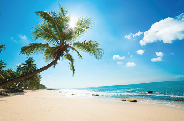 Resort 5 sao ‘sang chảnh’ của Best Westen Premier tại Phú Quốc-3