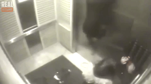 Cô gái dắt chó vào thang máy, chỉ sơ ý 1 chút, điều đáng sợ đã xảy ra-3