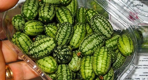 Loại quả tí hon giá cắt cổ được bà nội trợ săn lùng-2