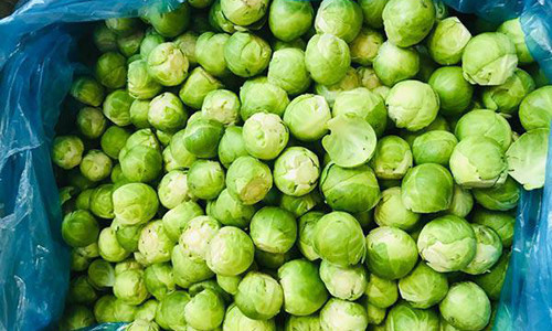 Loại quả tí hon giá cắt cổ được bà nội trợ săn lùng-4