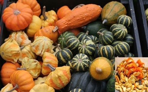 Loại quả tí hon giá cắt cổ được bà nội trợ săn lùng-8