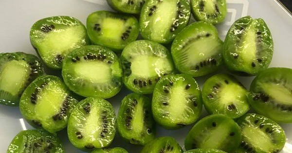 Loại quả tí hon giá cắt cổ được bà nội trợ săn lùng-18