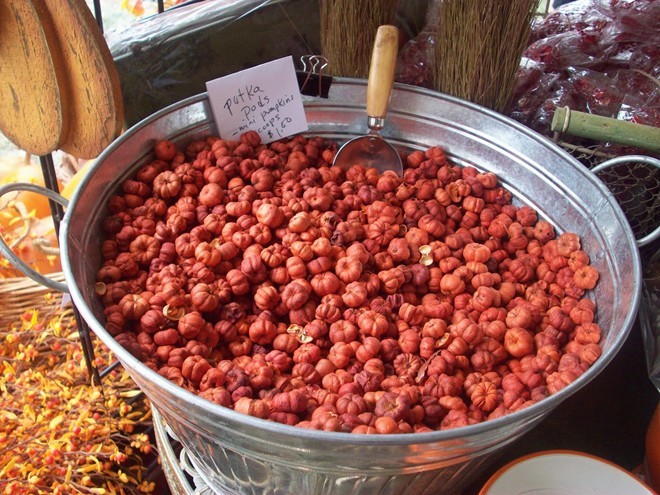 Loại quả tí hon giá cắt cổ được bà nội trợ săn lùng-9