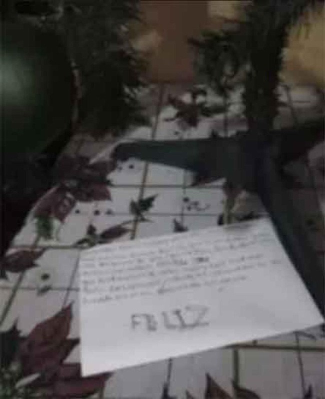 Bức thư đẫm nước mắt của bé gái 10 tuổi treo cổ tự tử để mẹ hạnh phúc hơn khiến ai cũng phải suy ngẫm-2