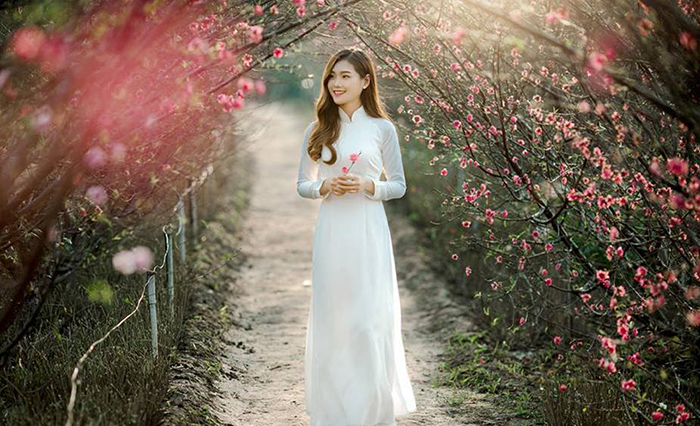 Nữ sinh Đại học Kinh tế Quốc dân đẹp rực rỡ bên hoa đào-3