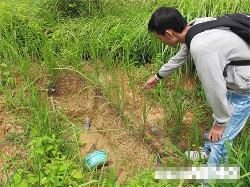 Những chuyện trộm xác ly kỳ ở nghĩa địa toàn tội nhân nổi tiếng