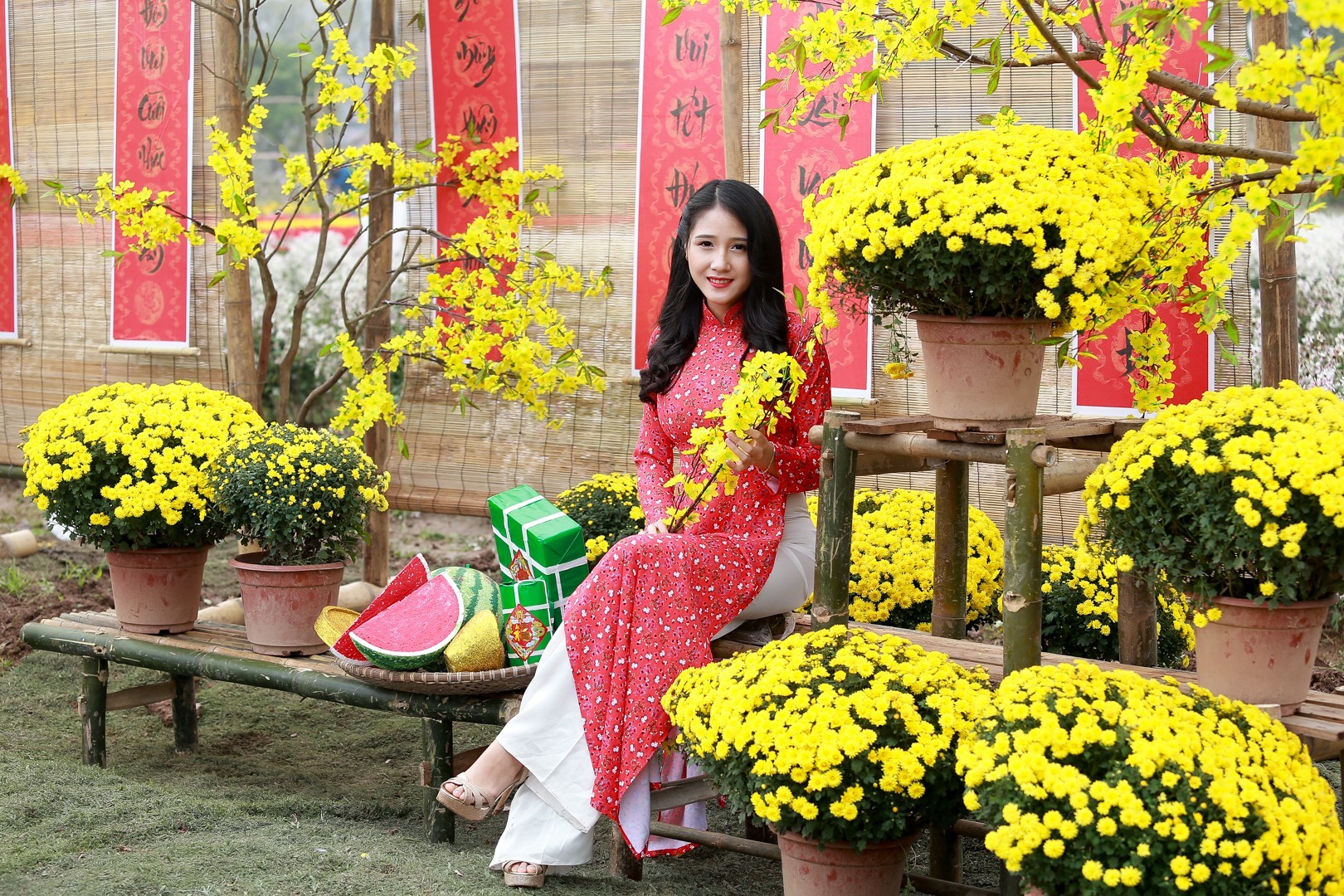 Phát sốt với vườn hoa cúc mâm xôi tuyệt đẹp ngay giữa Thủ đô-10