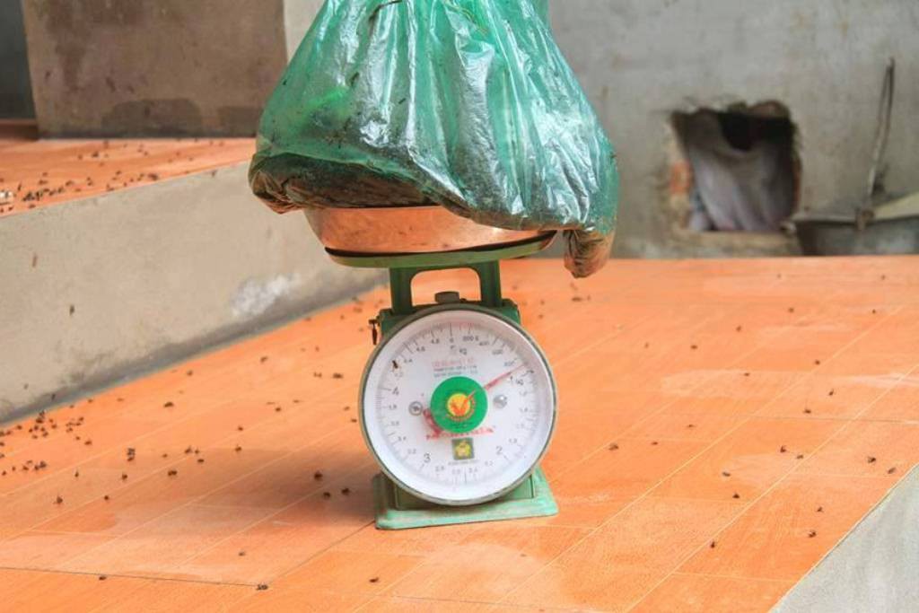 Cuộc sống cạnh bãi rác lớn nhất Hà Nội: Trong xóm có đám cưới chỉ đến uống chén rượu, không dám ăn-6