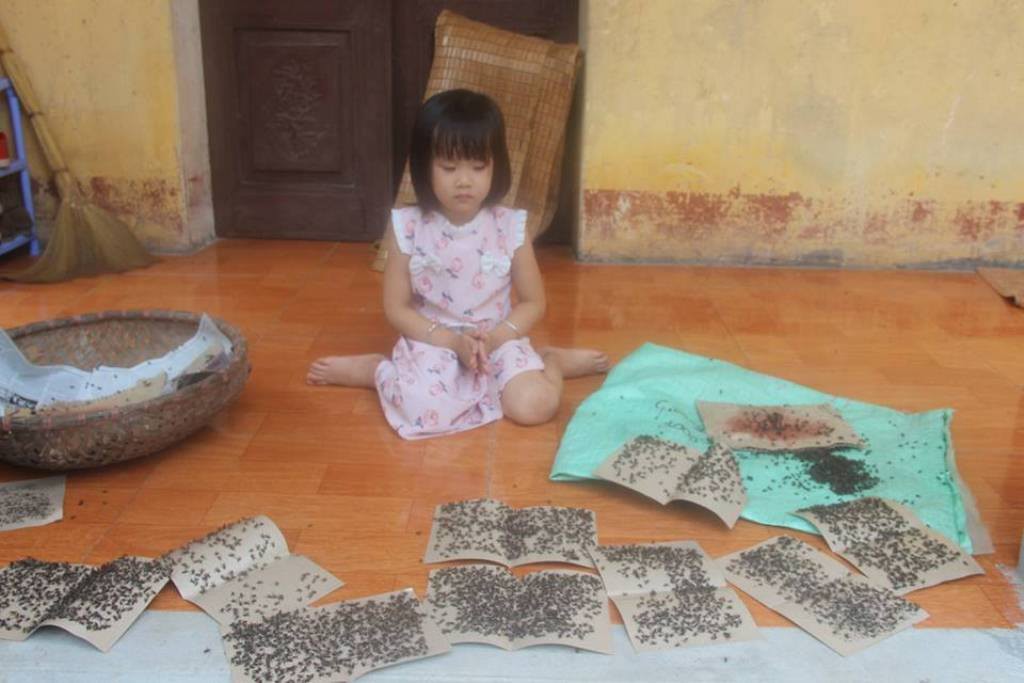 Cuộc sống cạnh bãi rác lớn nhất Hà Nội: Trong xóm có đám cưới chỉ đến uống chén rượu, không dám ăn-7