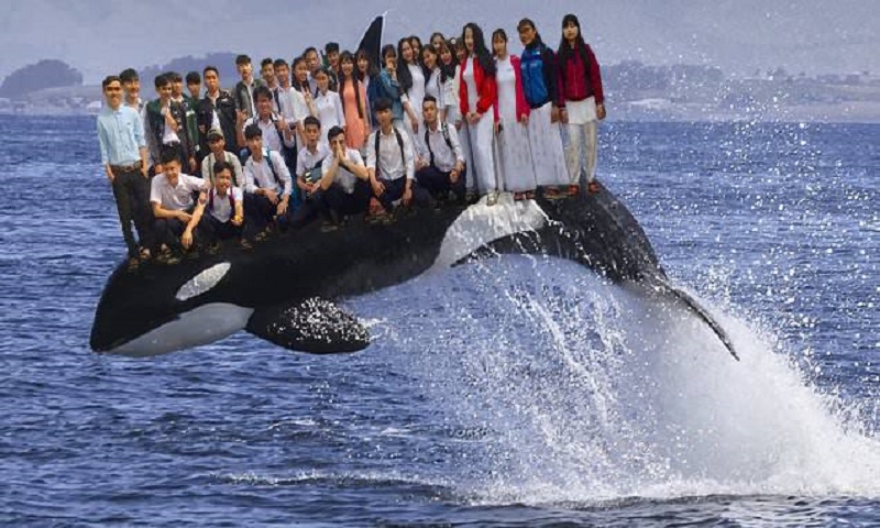 Phát sốt với trào lưu đưa lớp học đi muôn nơi của teen Việt-23